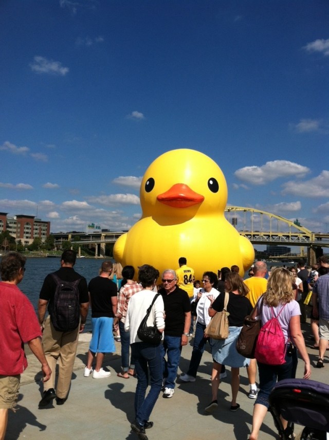 First view of the big yellow one